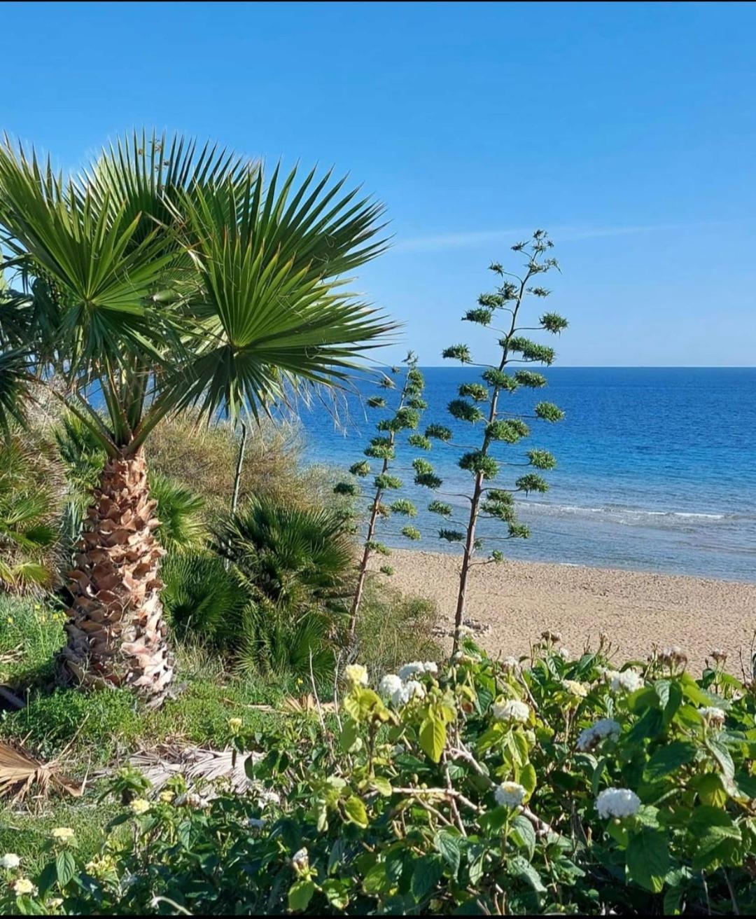 Villa Sul Mare Don Toto' アヴォラ エクステリア 写真
